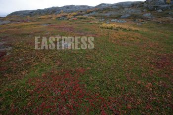 EA079874, Eastpress, Pykeija, Norja